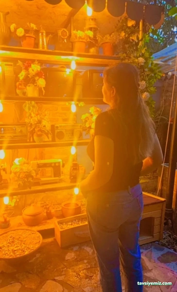 Efeler Saklı Bahçe Cafe Efeler Saklı Bahçe Cafe