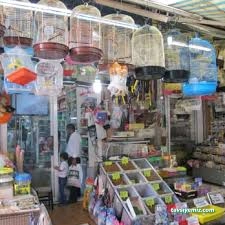 Ege Petshop Ege Petshop