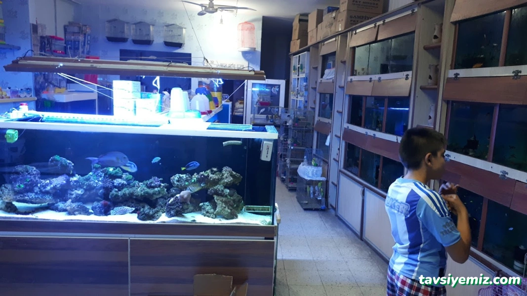 Ekin Pet Shop & Akvaryum Ekin Pet Shop & Akvaryum