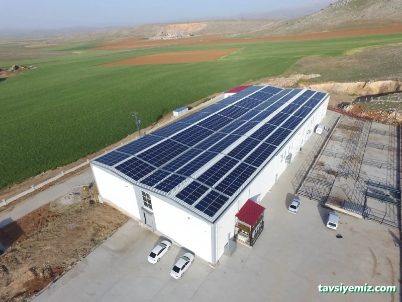 Ekinox Enerji A.ş.