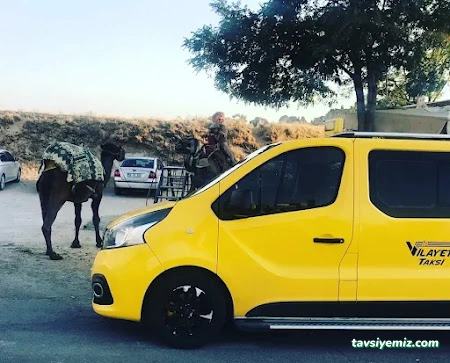 Elazığ Vilayet Taksi