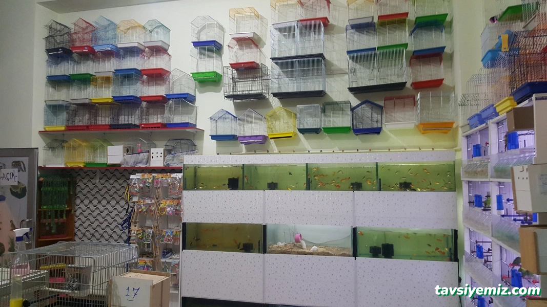 Elif Petshop Elif Petshop