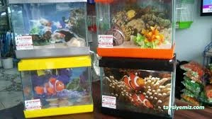 Elit Akvaryum Petshop Elit Akvaryum Petshop