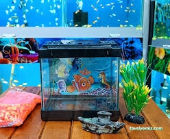 Elit Akvaryum Petshop Elit Akvaryum Petshop