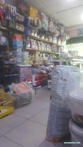 Elit Akvaryum Petshop Elit Akvaryum Petshop