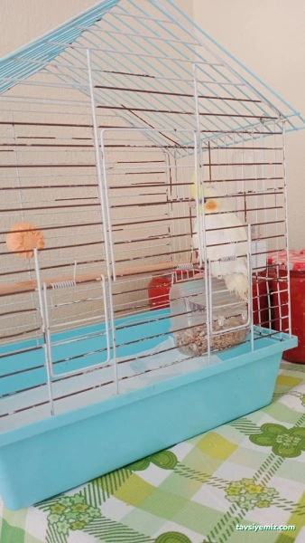 Elit Akvaryum Petshop Elit Akvaryum Petshop