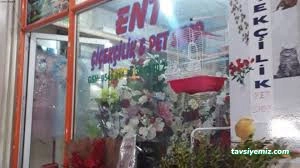 Ent Çiçekçilik Ve Petshop