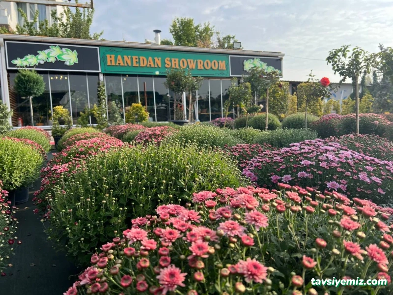 Eskişehir Hanedan Peyzaj Eskişehir Hanedan Peyzaj