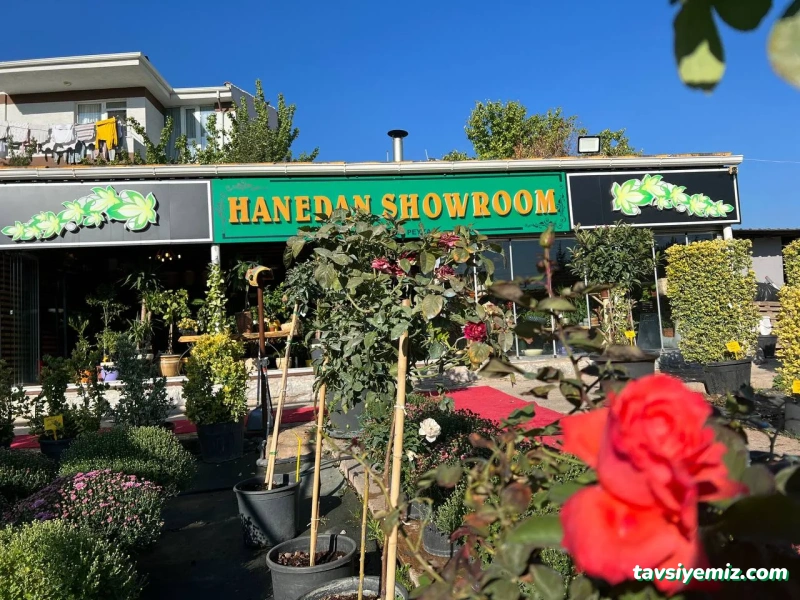 Eskişehir Hanedan Peyzaj Eskişehir Hanedan Peyzaj