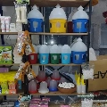Essen Petshop