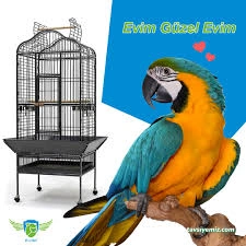 Evcilal Pet Shop Evcilal Pet Shop