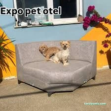 Expo Pet Otel Antalya Expo Pet Otel Antalya