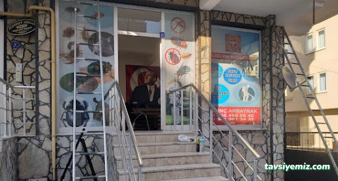 Kırşehir İlaçlama Kırşehir İlaçlama
