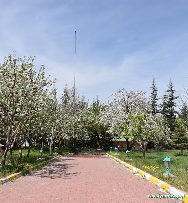 Topuzlu Han Restoran Nevşehir Topuzlu Han Restoran Nevşehir