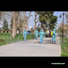 Şırnak Nergis İlaçlama Şırnak Nergis İlaçlama