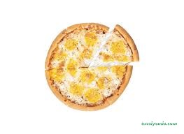 Terra Pizza Van Terra Pizza Van