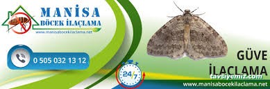 Manisa Böcek İlaçlama Manisa Böcek İlaçlama