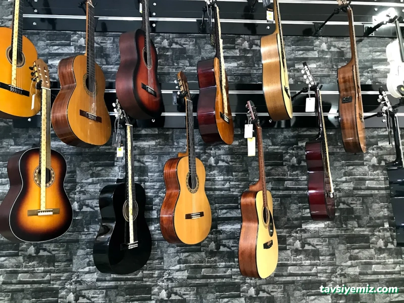 Filarmoni Sanat Akademisi Filarmoni Sanat Akademisi