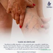Fizyobolu Fizyoterapi, Manuel Terapi Danışmanlık Fizyobolu Fizyoterapi, Manuel Terapi Danışmanlık