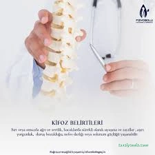 Fizyobolu Fizyoterapi, Manuel Terapi Danışmanlık Fizyobolu Fizyoterapi, Manuel Terapi Danışmanlık
