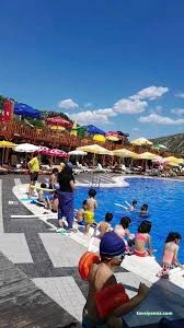 Flamingo Havuz Cafe & Restaurant