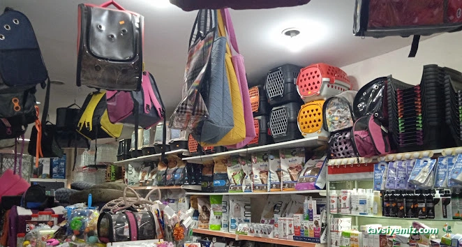 Flipper Pet Shop