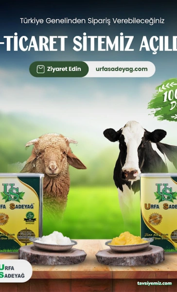Forse Reklam Ve Bilgi Ajansı Eskişehir Web Tasarım Forse Reklam Ve Bilgi Ajansı Eskişehir Web Tasarım