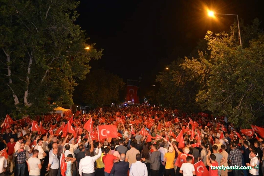 Foxi Organizasyon Foxi Organizasyon