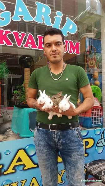 Garip Akvaryum Garip Akvaryum