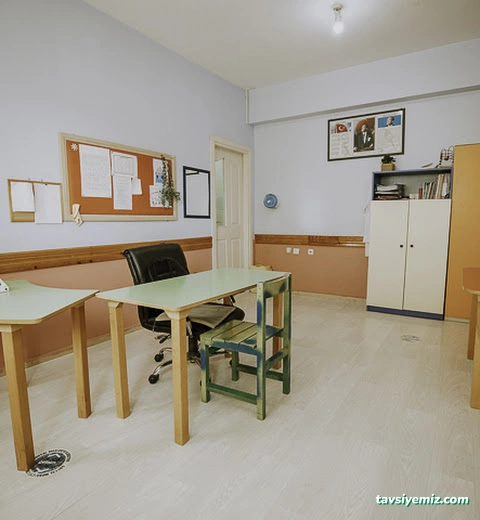 Gelişim Özel Eğitim Ve Rehabilitasyon Merkezi Gelişim Özel Eğitim Ve Rehabilitasyon Merkezi