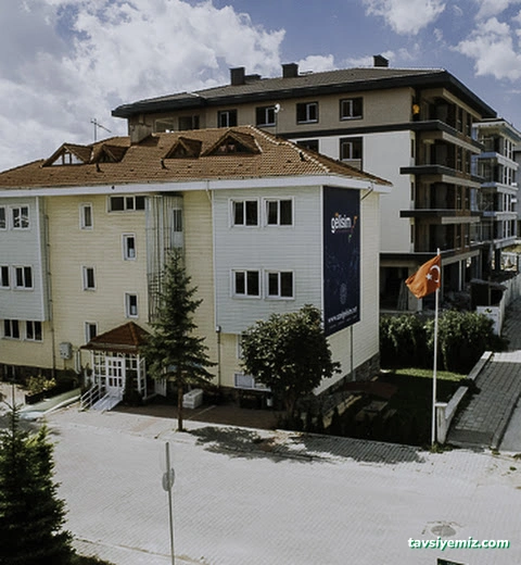 Gelişim Özel Eğitim Ve Rehabilitasyon Merkezi Gelişim Özel Eğitim Ve Rehabilitasyon Merkezi