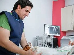 Gençvet Serdivan Veteriner Kliniği Gençvet Serdivan Veteriner Kliniği