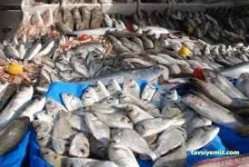 Gökdeniz Balıkçılık Gökdeniz Balıkçılık