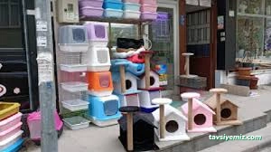Göker Pet Shop Göker Pet Shop