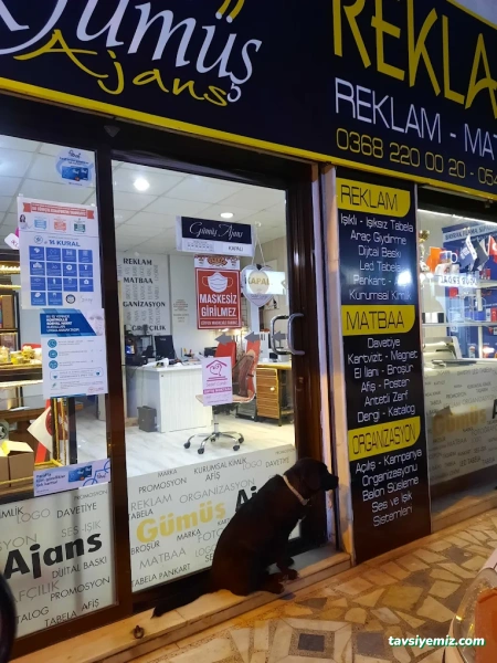 Gümüş Ajans Gümüş Ajans