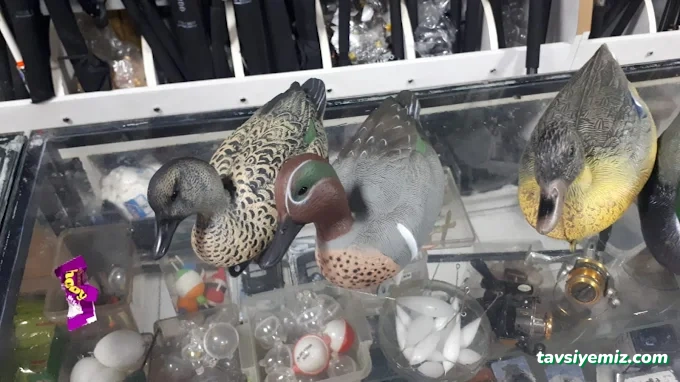 Gümüş Av Gümüş Av