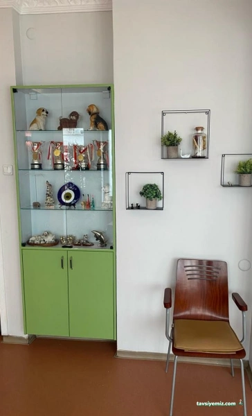 Güzelbahçe Veteriner Kliniği