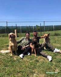 Hachiko Tekirdağ Pet Kuaför & Pet Hotel Hachiko Tekirdağ Pet Kuaför & Pet Hotel