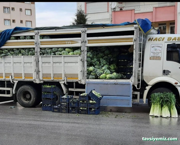 Hacıbaba Lojistik Toptan Sebze & Meyve Gıda Ltd.şti Hacıbaba Lojistik Toptan Sebze & Meyve Gıda Ltd.şti