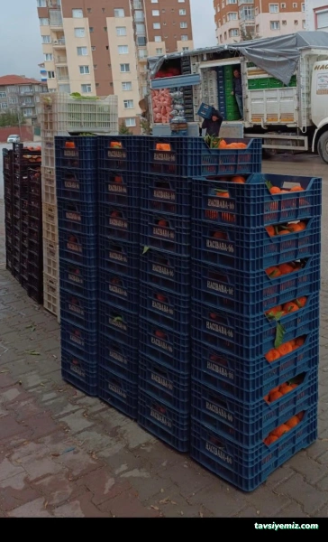 Hacıbaba Lojistik Toptan Sebze & Meyve Gıda Ltd.şti Hacıbaba Lojistik Toptan Sebze & Meyve Gıda Ltd.şti