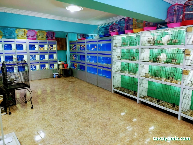 Hayvanlar Alemi Petshop Hayvanlar Alemi Petshop