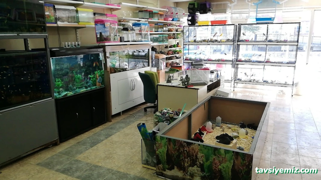 Hayvanlar Alemi Petshop Hayvanlar Alemi Petshop