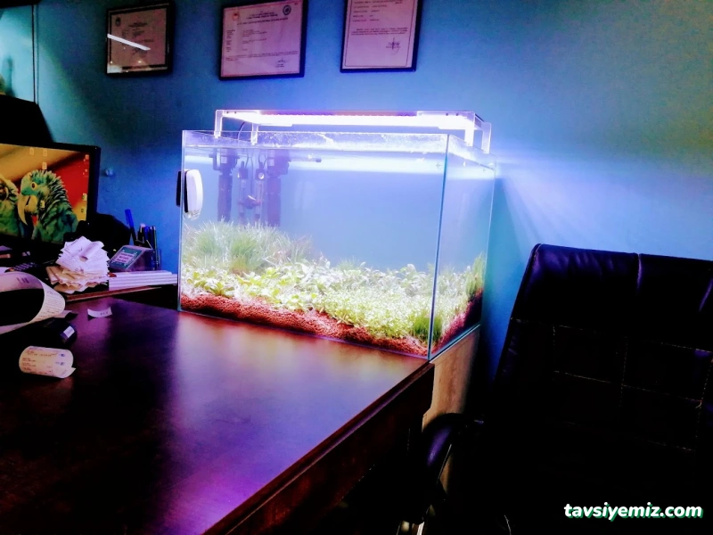 Hayvanlar Alemi Petshop Hayvanlar Alemi Petshop