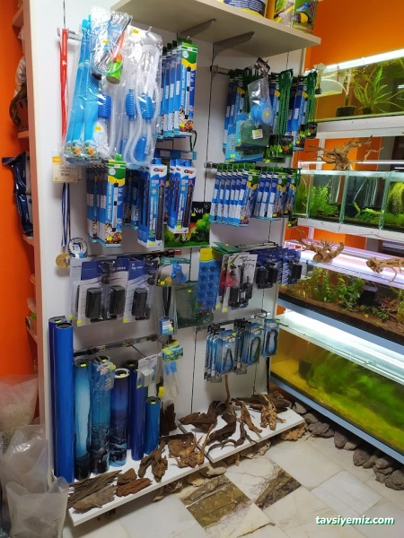 Hobihanem (Muğla)