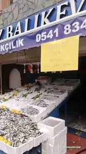 Iğdır Karadeniz Balıkçılık Iğdır Karadeniz Balıkçılık