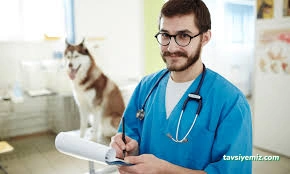 İhsan Veteriner Kliniği İhsan Veteriner Kliniği
