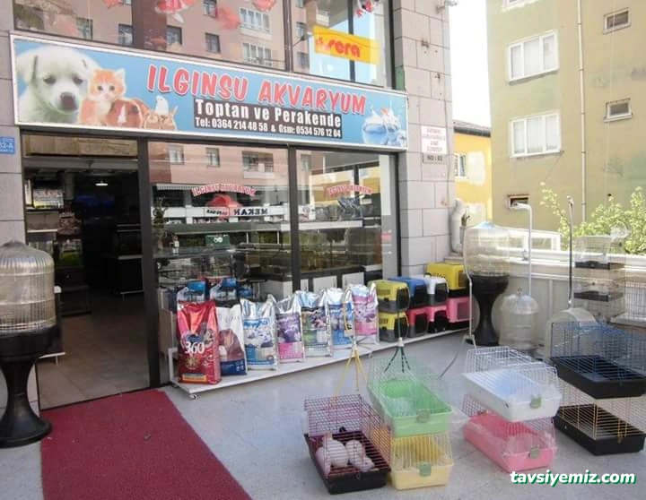 Ilginsu Akvaryum
