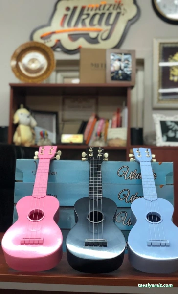 İlkay Müzik Organizasyon İlkay Müzik Organizasyon