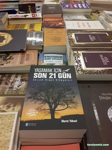 İlke Yayın Dağıtım İlke Yayın Dağıtım