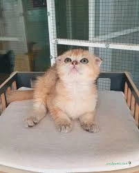 İlkim Pet Shop